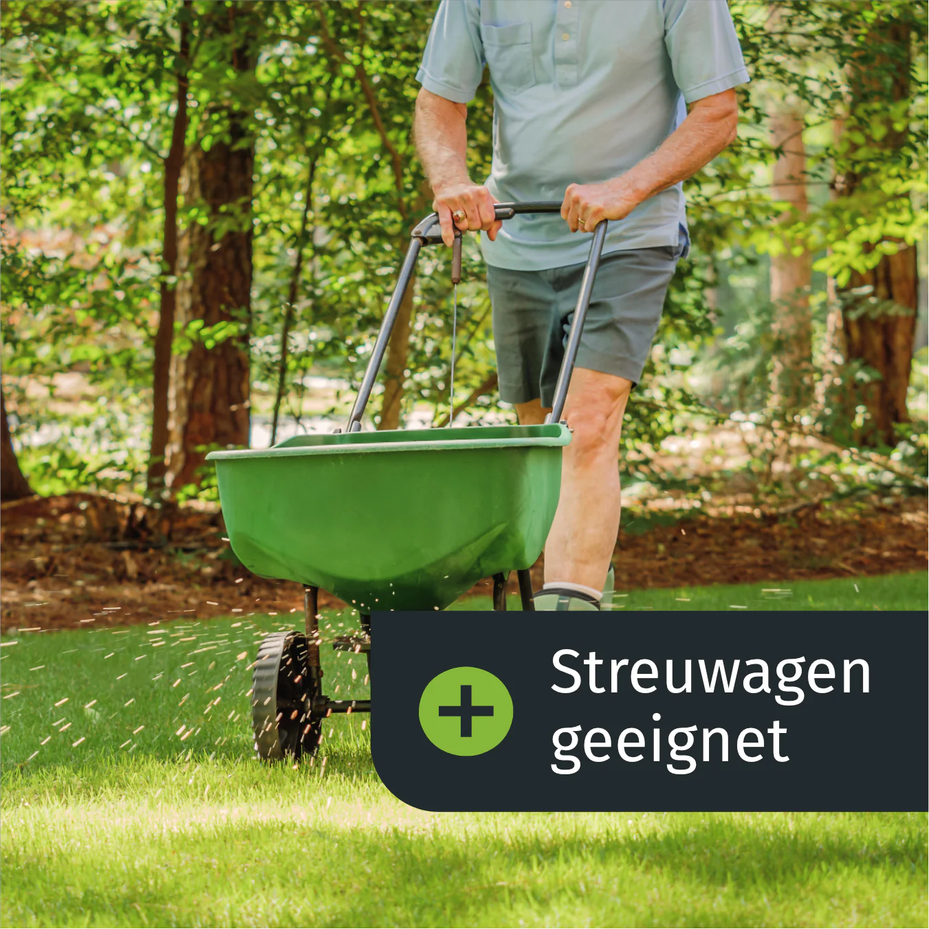 Vorschaubild 6