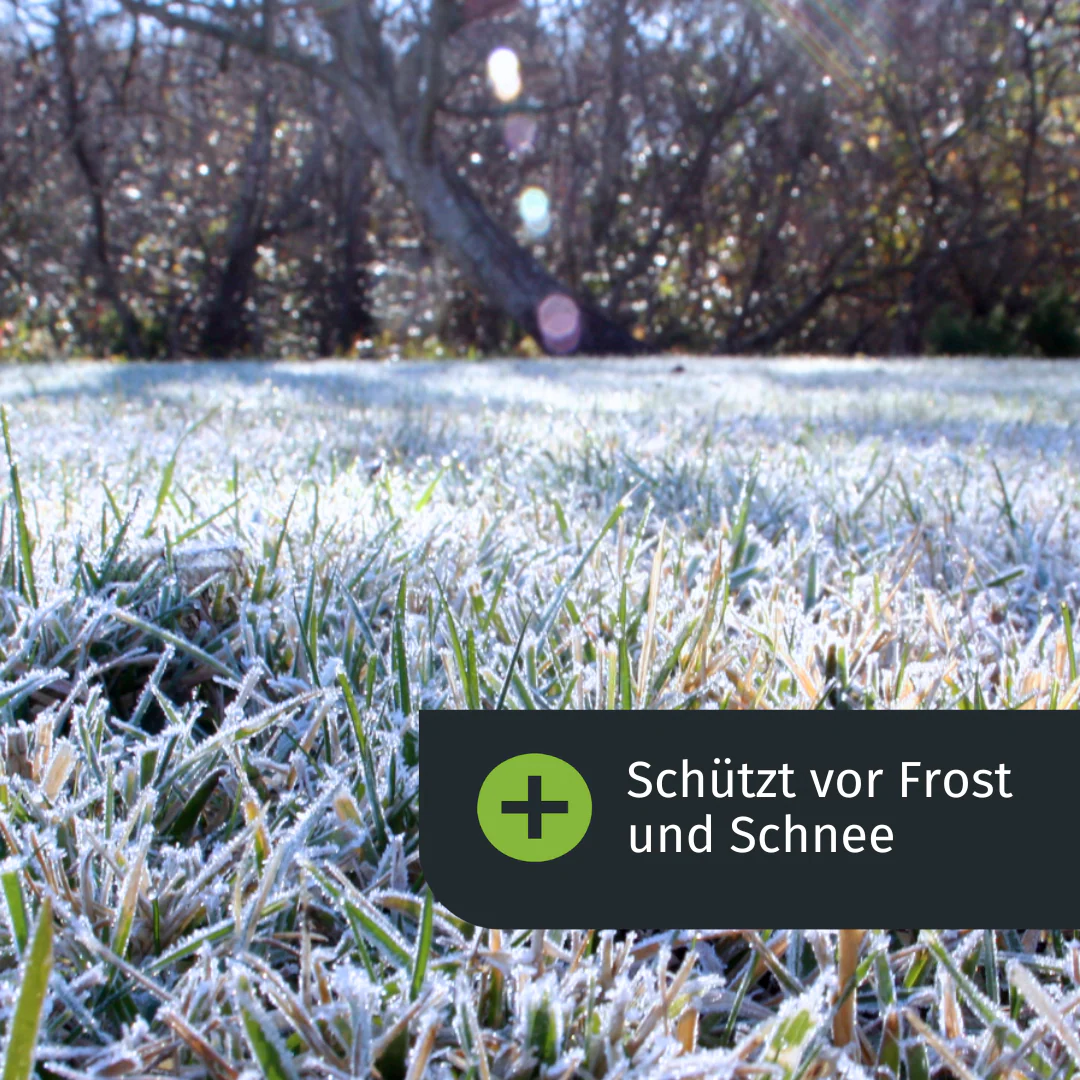 Vorschaubild 5