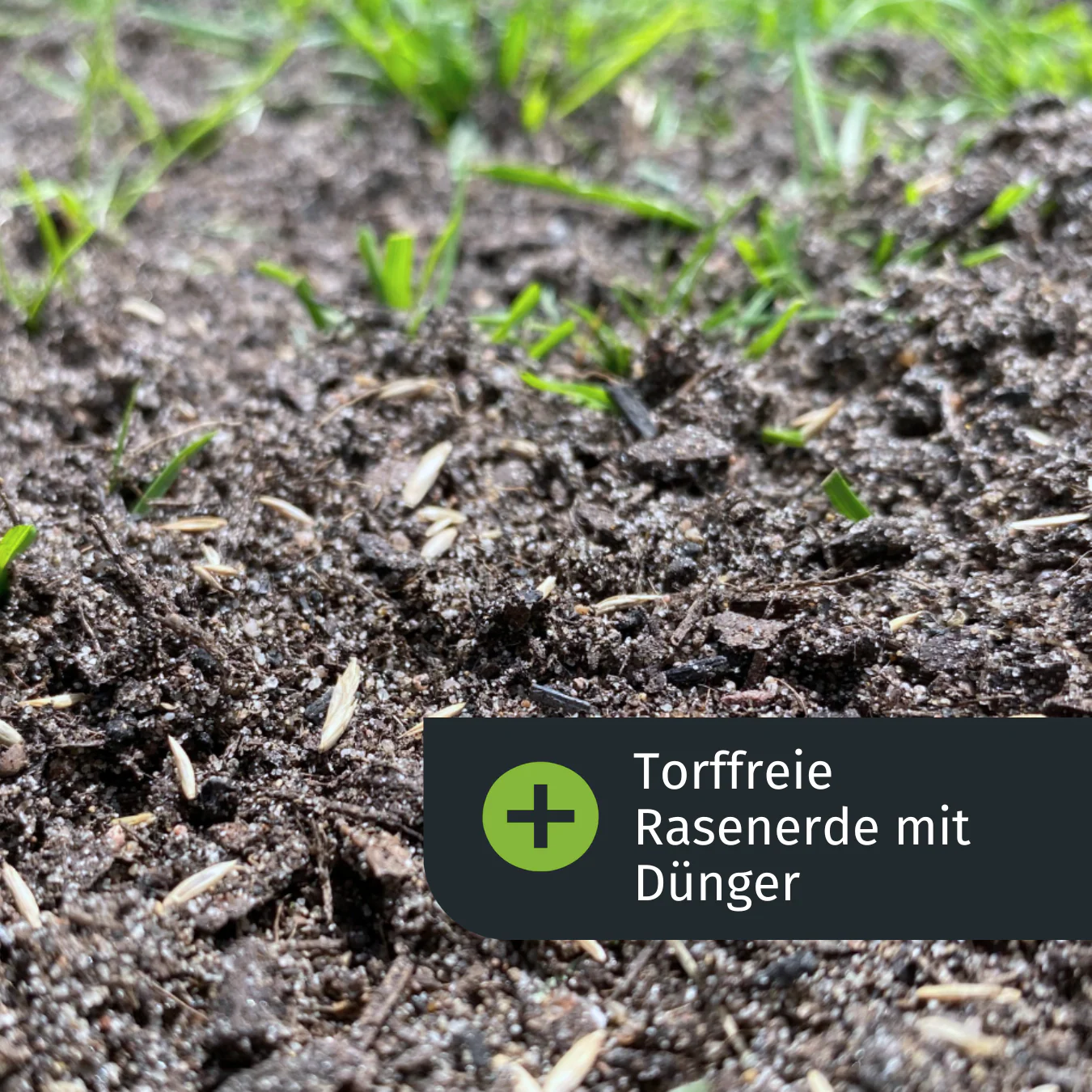 Vorschaubild 7