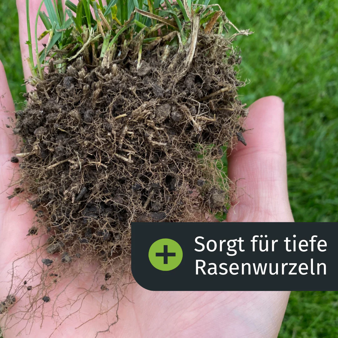 Vorschaubild 6