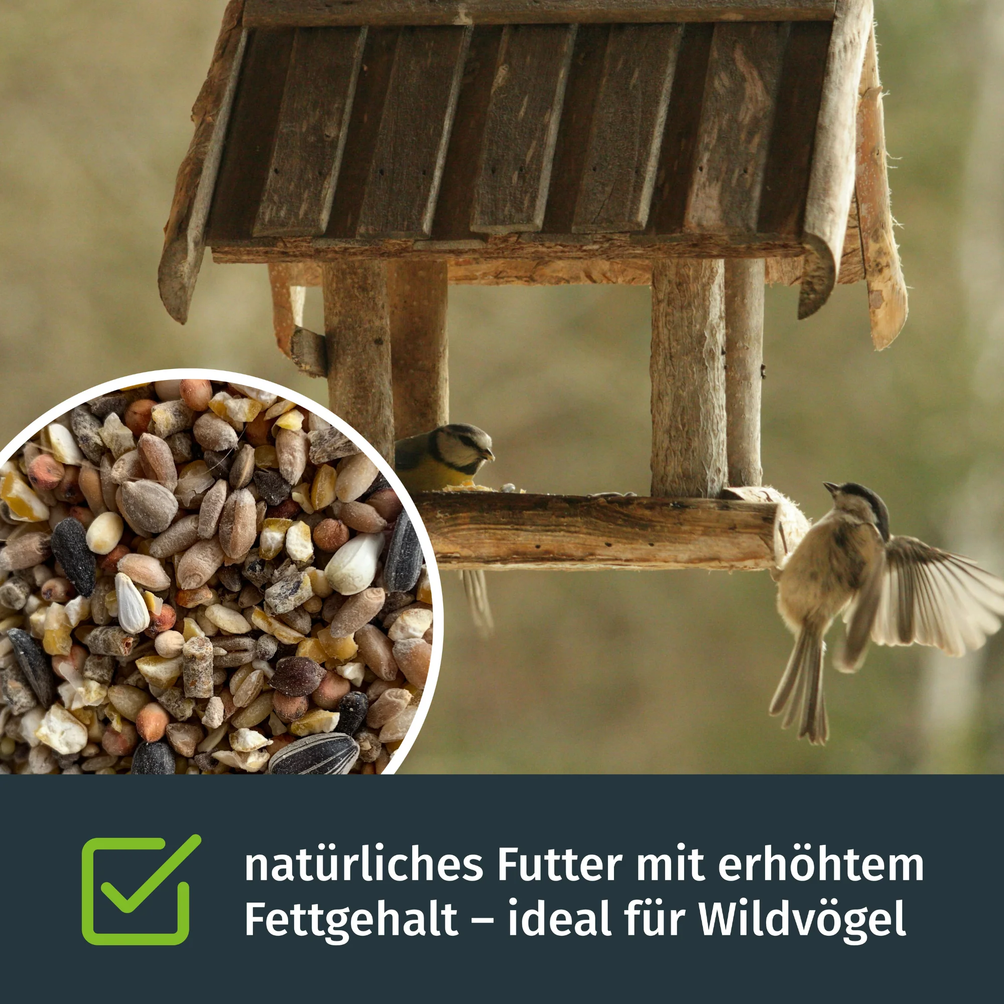 Vorschaubild 4